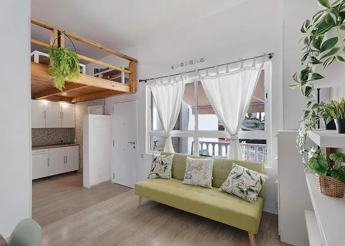 Torviscas Endless Summer アデヘ