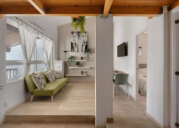 Torviscas Endless Summer *