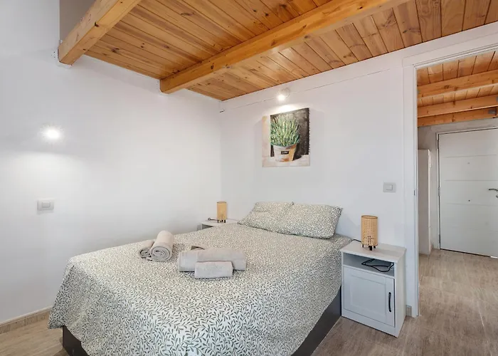 Torviscas Endless Summer アデヘ